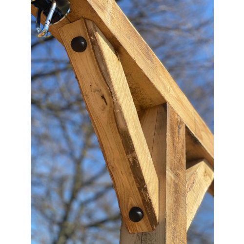 douglas Chestnut wood swing SCAR with slide