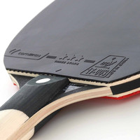 CORNILLEAU Table tennis bat Cornilleau Perform