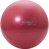Christopeit Gym ball 65cm incl. pump red Christopeit Christopeit Gym ball 65cm incl. pump red