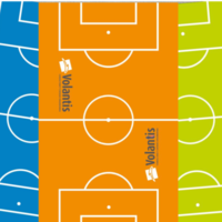 Fas Fas Wembly 2.0 Competition Football Table