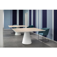 Fas tafeltennis en vergadertafel Dada indoor vast model Fas Fas tafeltennis en vergadertafel Dada indoor vast model