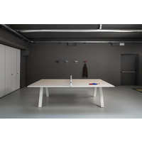 Fas Fas table tennis and meeting table Grasshopper indoor fixed model