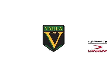 Vaula pool cue