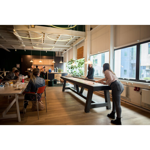 Shuffly DreamX Shuffleboard 14 foot (ook 12-22ft mogelijk) Shuffly Shuffly DreamX Shuffleboard 14 foot (ook 12-22ft mogelijk)