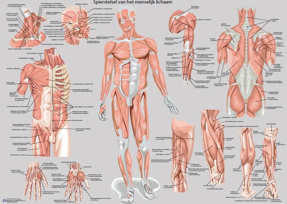 Is tafeltennis een goede sport