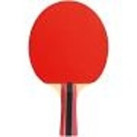 CORNILLEAU Cornilleau Sport 300 indoor table tennis bat