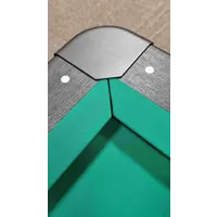 Carom biljard Dino Club grå spillestørrelse 100 x 200 cm BUFFALO Carom biljard Dino Club grå spillestørrelse 100 x 200 cm