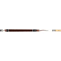 Buffalo Glory Pool cue No.2 BUFFALO Buffalo Glory Pool cue No.2