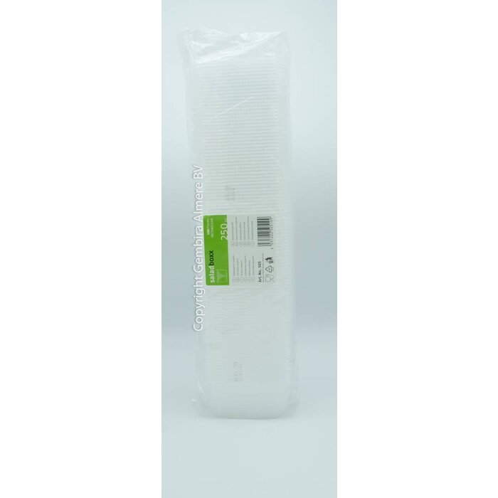 Saladboxx Plastic box 100 pcs - 250cc