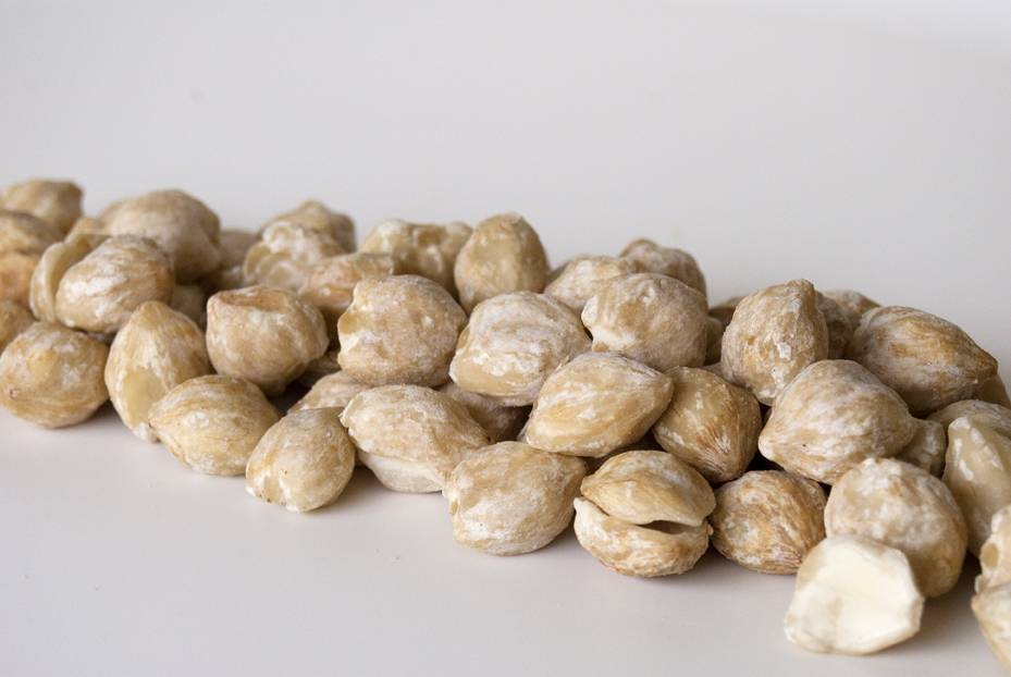 Tokogembira Kemiri Nuts 1kg Tokogembira Nl