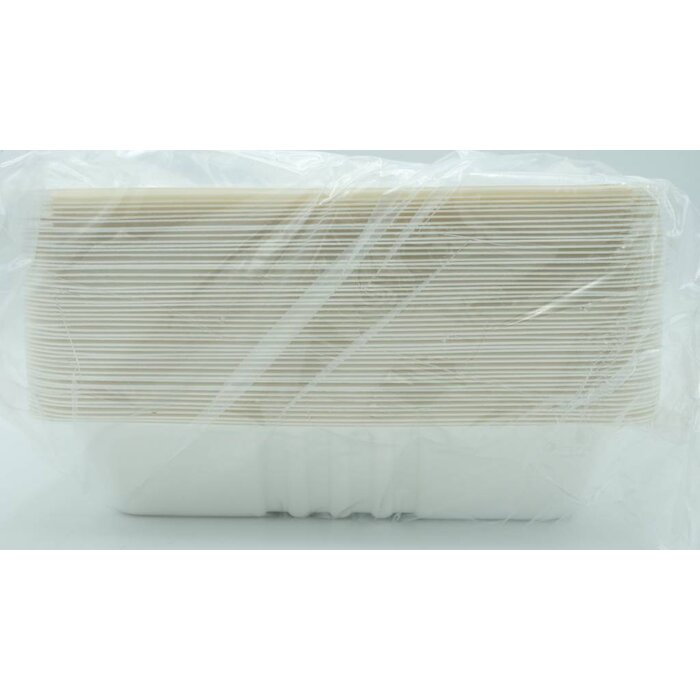 Bami container 50 pieces - A50/60 | 20x14x4cm