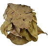 Duan Salam Leaf 250gr - Dried