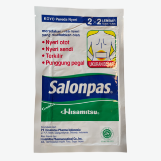 salonpas 2 x 2 lembar 13,0 x 8,4cm