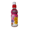 Pokemon Drink Grape & Apple 235ml Lotte - Pet fles