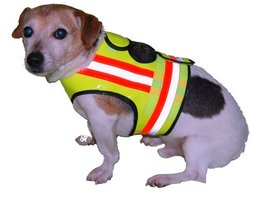 Veiligheidsvest hond