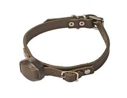 Deben Terrier finder halsband