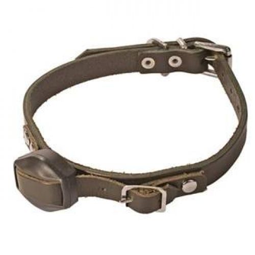 Deben Terrier finder halsband