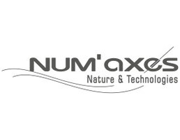 numaxes