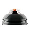 Bug A Salt Salt Gun Bug-A-Salt 3.0 Black Fly