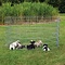 Trixie Trixie natura puppyren gegalvaniseerd metaal 8 panelen