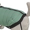 Trixie Trixie hondenjas pontis met tuig saliegroen