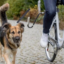 Trixie Trixie fietsbeugel u-vorm