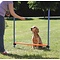 Trixie Trixie dog activity agility horde blauw / oranje