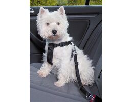 Trixie Trixie hondentuig auto inclusief gordel zwart