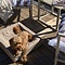 Bia Bia bed outdoor hoes hondenmand taupe