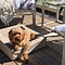 Bia Bia bed outdoor hoes hondenmand taupe