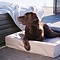 Bia Bia bed hondenmand outdoor taupe