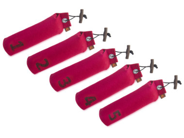 firedog set 5 dummies 500 gr wine