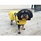 Happy pet Happy pet hondenjas go walk quilted classic mosterd