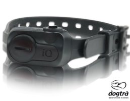 Dogtra anti-blafband iQ