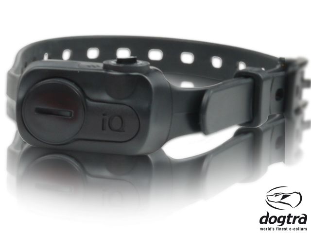 Dogtra anti-blafband iQ