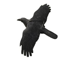 Lokvogel vliegende kraai geflockt 44x80cm incl. metalen pen