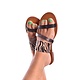 Slippers Safari