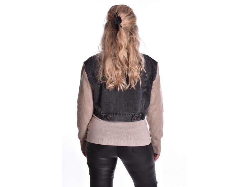 Jasje Bibi - Antraciet met licht taupe mouwen