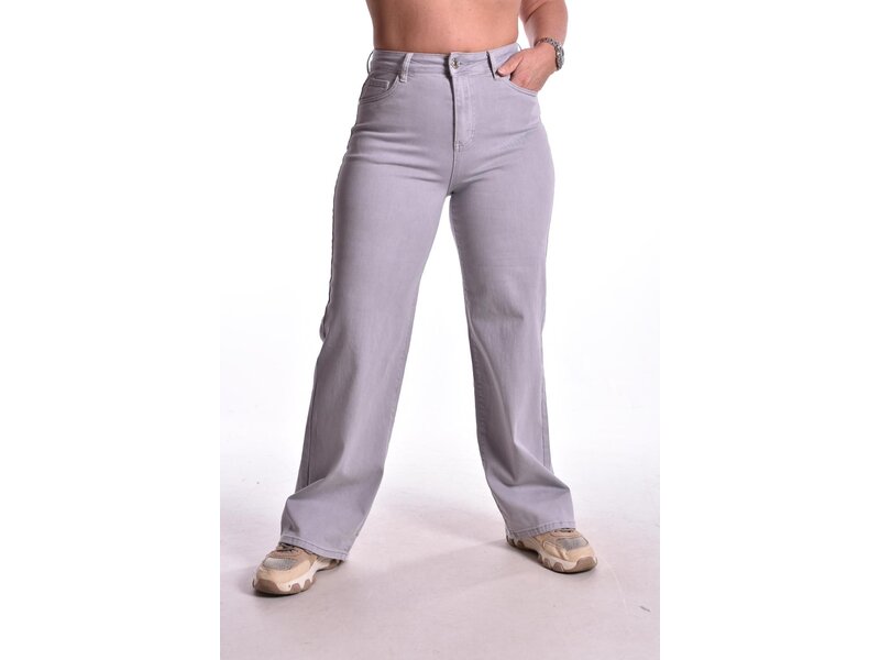 Goodies Wide Leg Color (DJ2498) - Grijs