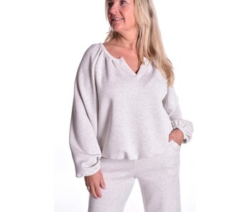 Top Steffie van Mooij - Grijs gemêleerd