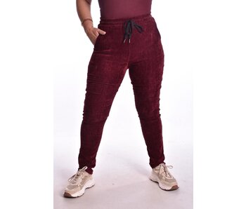 Broek Rebel - Bordeaux