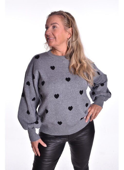 Trui Hartjes - Grijs/Zwart