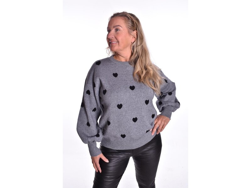 Trui Hartjes - Grijs/Zwart