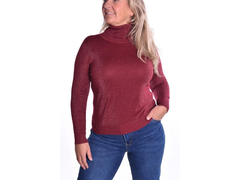 Glitter Kol - Bordeaux