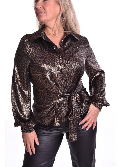 Blouse Shiny Lio