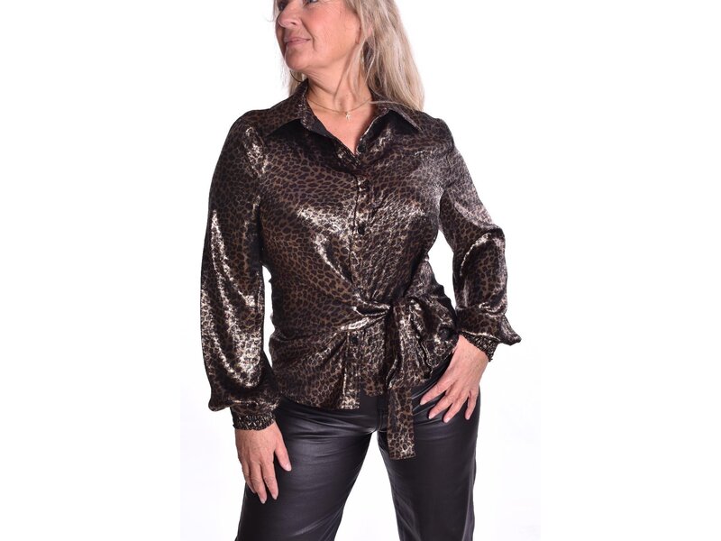 Blouse Shiny Lio