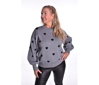 Trui Hartjes - Grijs/Zwart