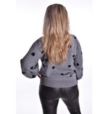 Trui Hartjes - Grijs/Zwart