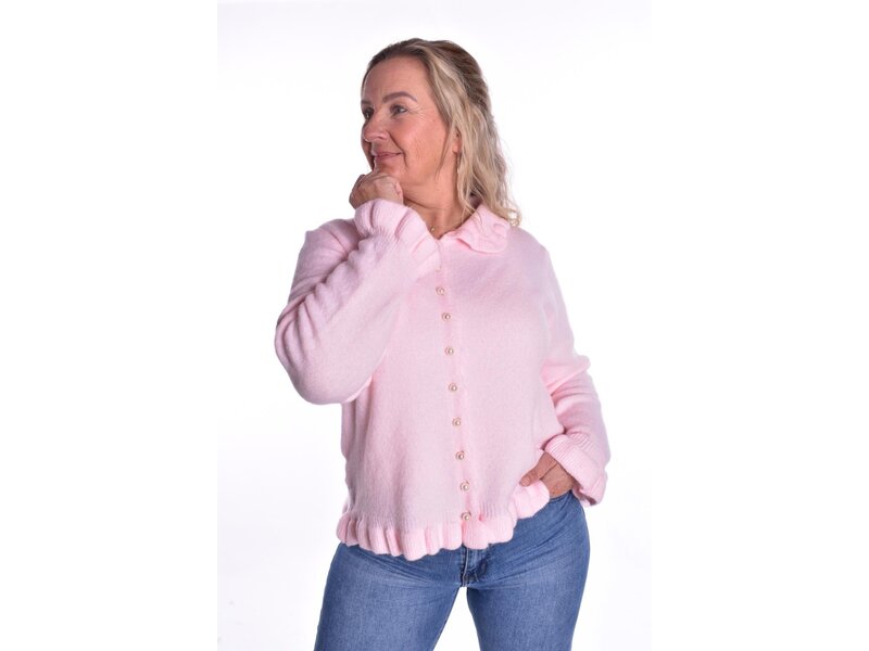 Vest She's a Lady - Roze