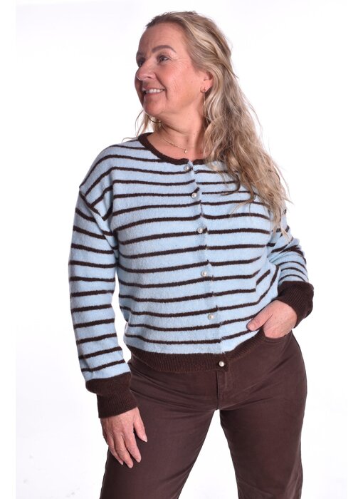 Vest Puk - Lichtblauw/Choco